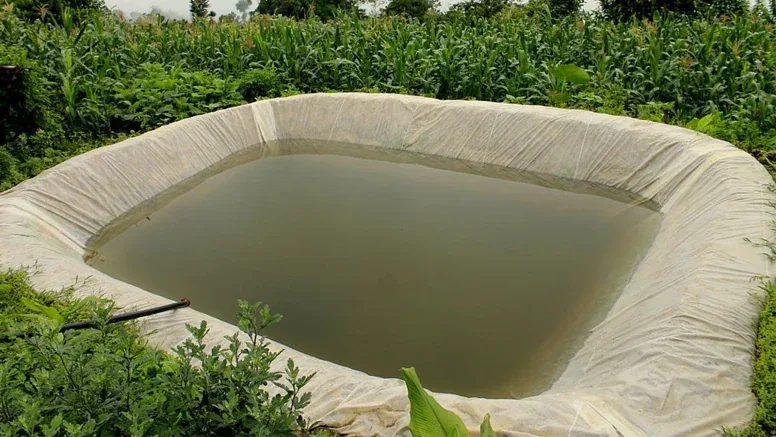 Rain water harvesting